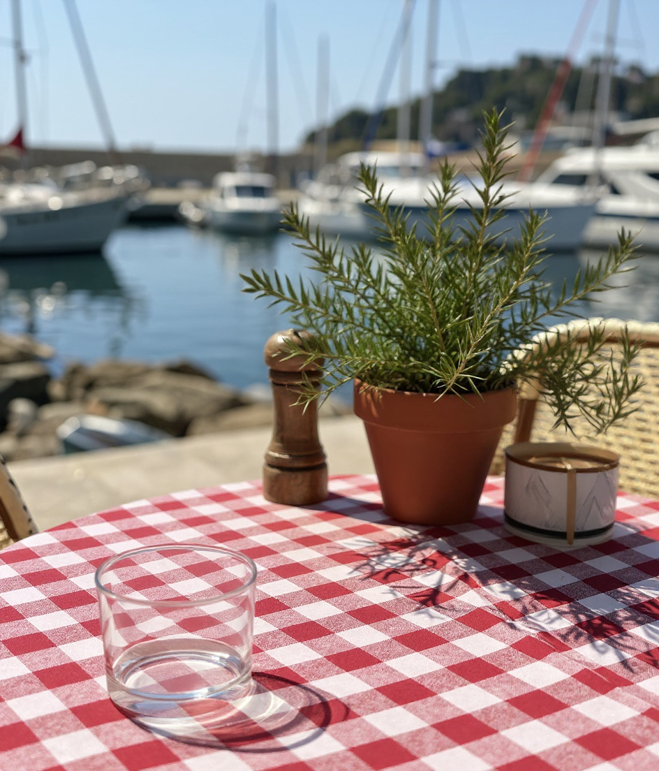 Table nappée de vichy, pot de romarin, le port